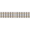 LGB 10600 G Gauge Track 23-5/8" (600mm) Straight